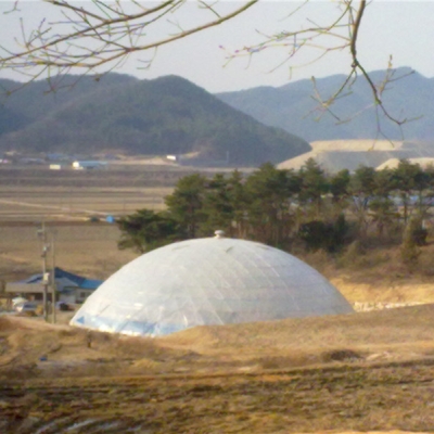 韓國(guó)案例