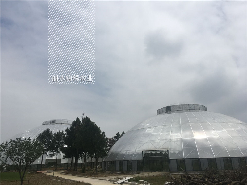 新型陽(yáng)光板鳥(niǎo)巢溫室(圖9)