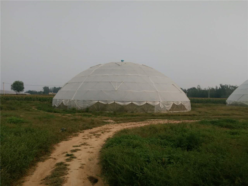 高唐光伏農業(yè)園(圖7)